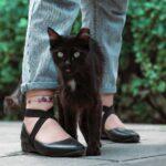 پابند آمیتیست2