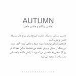 دستبند Autumn (پاییز) - Image 8