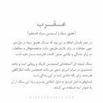 دستبند SCORPION (عقرب) - Image 6