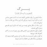 دستبند LEAF (برگ) - Image 4