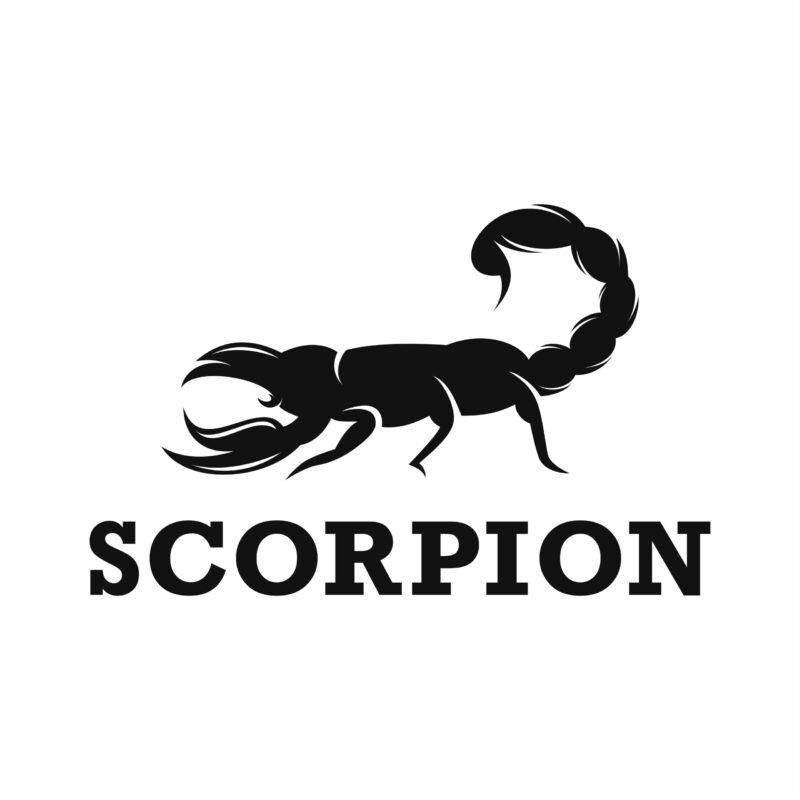 دستبند SCORPION (عقرب) - Image 7