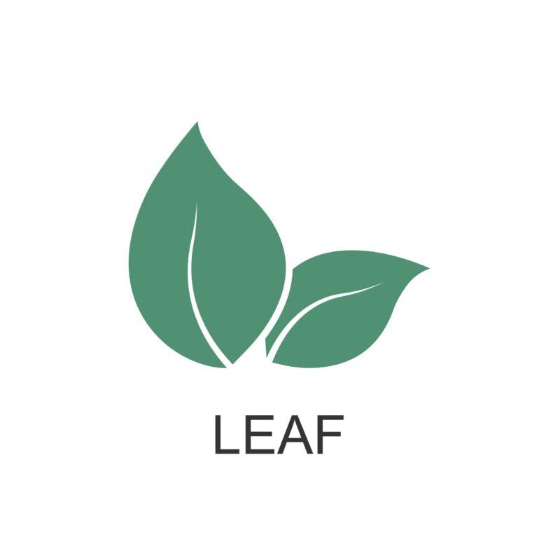 دستبند LEAF (برگ) - Image 8
