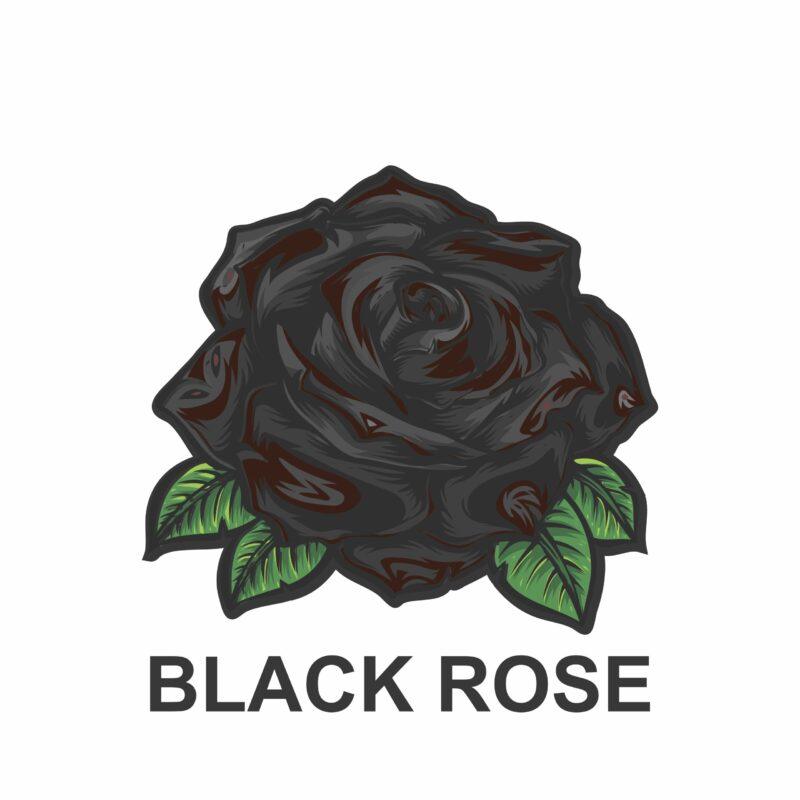 دستبند BLACK ROSE (رز سیاه) - Image 6