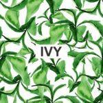 دستبند پیچک (IVY) - Image 7