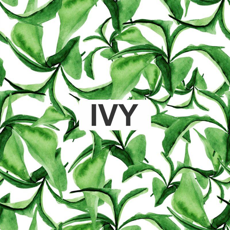 دستبند پیچک (IVY) - Image 7