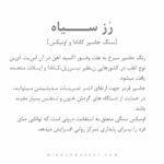 دستبند BLACK ROSE (رز سیاه) - Image 9