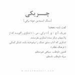 دستبند چریکی (Guerrilla) - Image 10