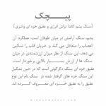 دستبند پیچک (IVY) - Image 8