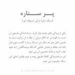 دستبند پر ستاره (STELLER) - Image 7