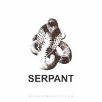 دستبند مار (SERPANT) - Image 8