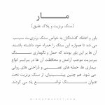 دستبند مار (SERPANT) - Image 9