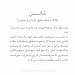 دستبند شانس (LUCK) - Image 6