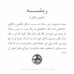 دستبند ریشه (ROOT) - Image 5