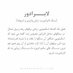 دستبند لابرادور (LABRADOR) - Image 9