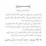 دستبند پیروز (PIRUOZ) - Image 7