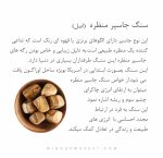 دستبند شانس (CHANCE) - Image 10