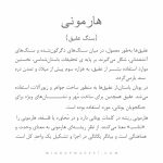 دستبند هارمونی (HARMONY) - Image 6