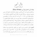 حلقه BLUE WHALE (وال آبی) - Image 12