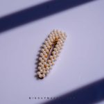 سنجاق سر کریستالی Cf - Image 3