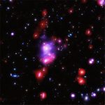 حلقه جوئلو (آمیتیست) - Image 9