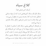 دستبند کلاغ سیاه - Image 8