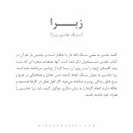 دستبند زبرا - Image 6