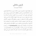 دستبند بارون بنفش - Image 4