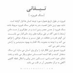 دستبند تیفانی - Image 6