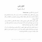 دستبند مورس - Image 6