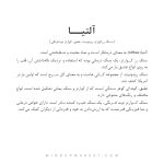 گردنبند آلتیا - Image 5