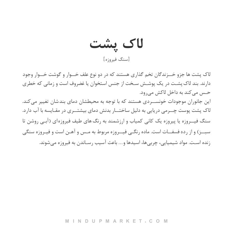 دستبند لاک پشت - Image 5