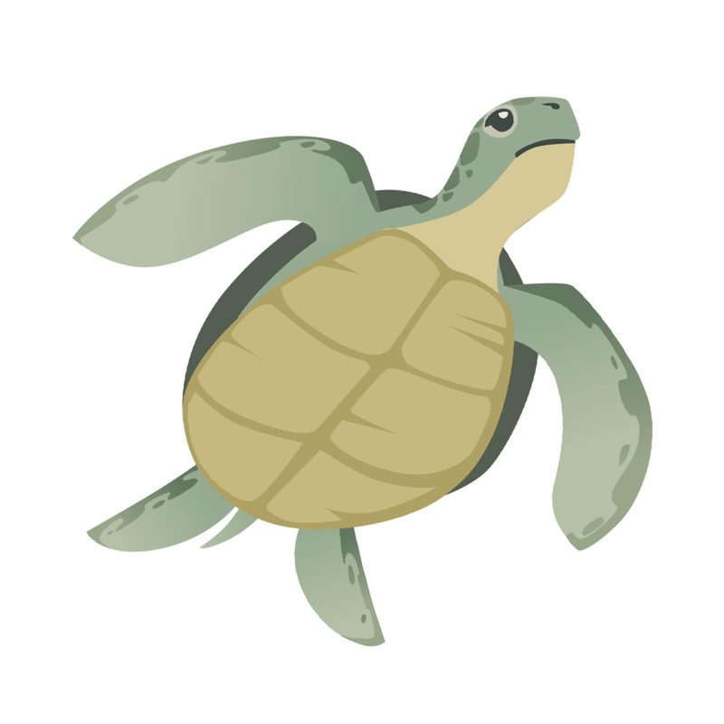 دستبند لاک پشت - Image 3