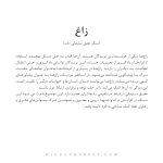 دستبند زاغ (raven) - Image 6