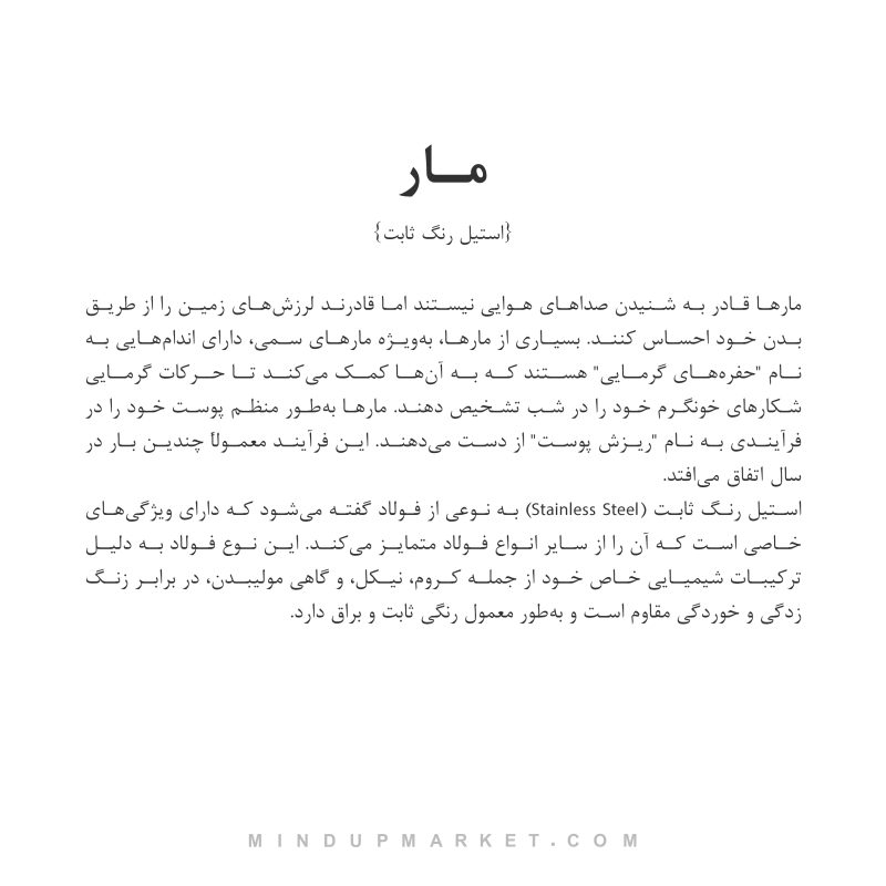 دستبند مار (snake) - Image 8