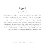 دستبند ایفوریا طلا (euphoria) - Image 5