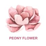 دستبند پیونی - Image 3