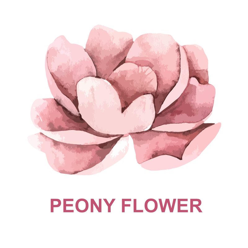 دستبند پیونی - Image 3