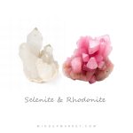 دستبند سه تایی فلامینگو - Image 5