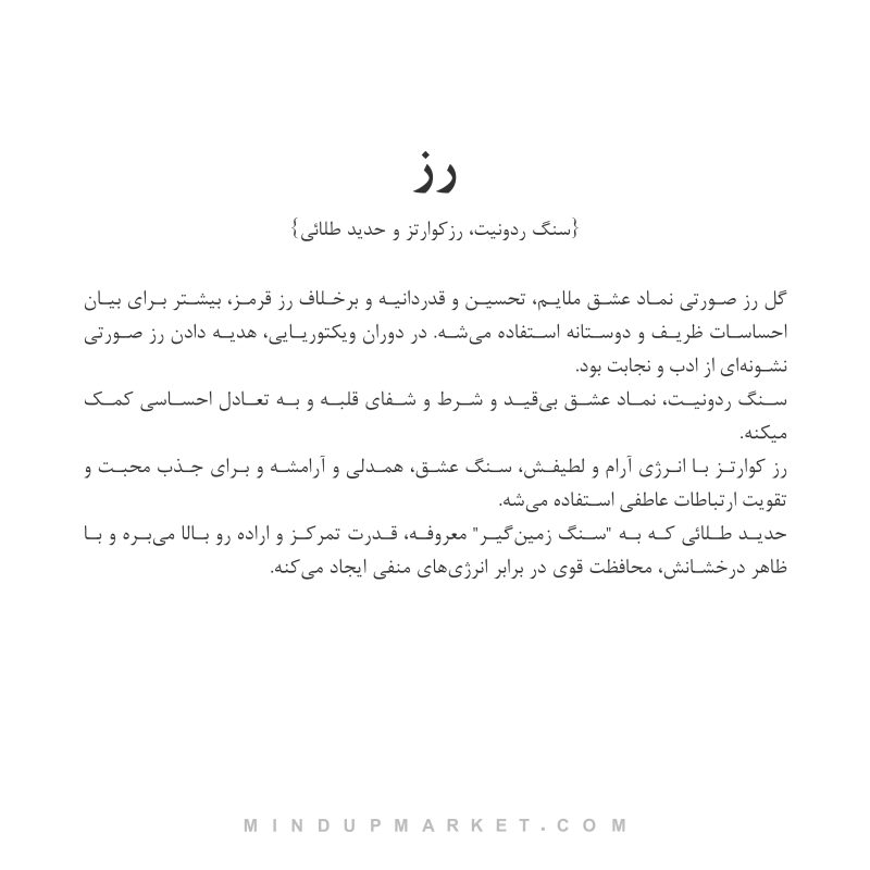 پابند رز - Image 5