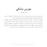 گردنبند مورس مشکی - Image 6