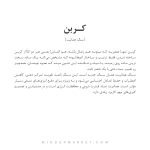 گردنبند کربن - Image 5