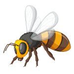 دستبند زنبور (Bee) - Image 3