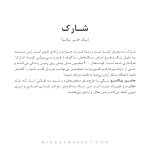 دستبند شارک - Image 4