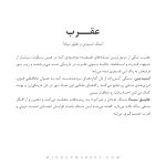 ست دستبند عقرب - Image 6