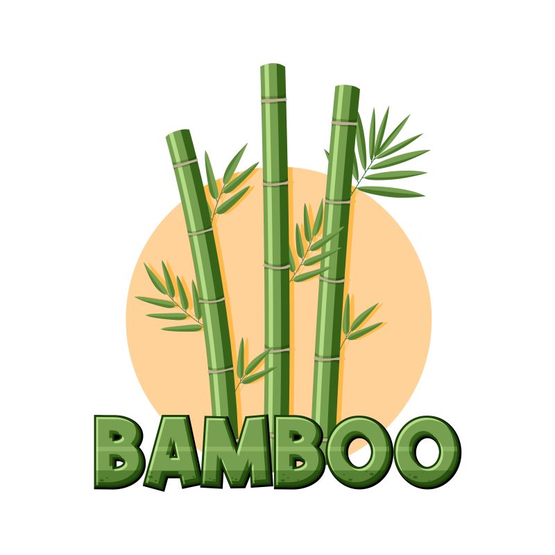 دستبند بامبو - Image 3