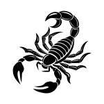 ست دستبند عقرب - Image 3