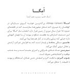 دستبند ست امگا (Omega) - Image 6