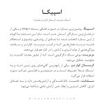 دستبند ست اسپیکا - Image 4