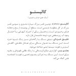 دستبند ست کالیستو (Callisto) - Image 6
