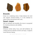 گردنبند خرس - Image 9